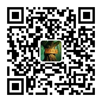扫一扫加微信-咒语集市